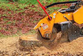 Best Grass Overseeding  in Gleason, TN